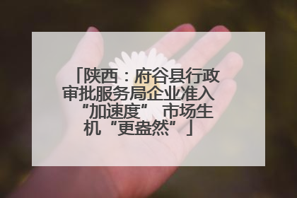 陕西：府谷县行政审批服务局企业准入“加速度” 市场生机“更盎然”